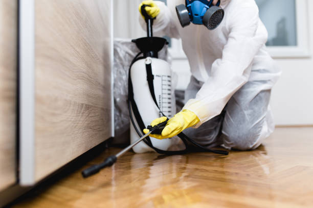Best Best Pest Control Companies  in Tryon, NC