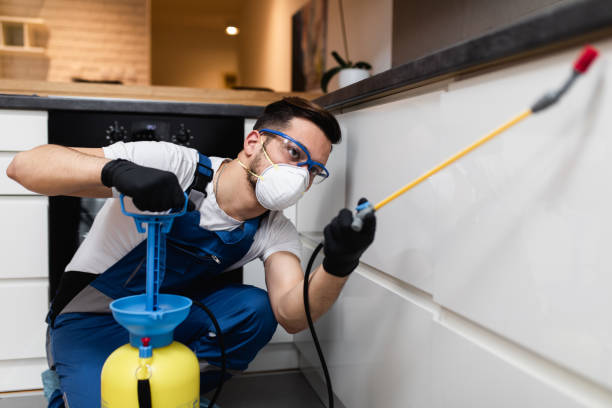 Best Emergency Pest Control  in Tryon, NC