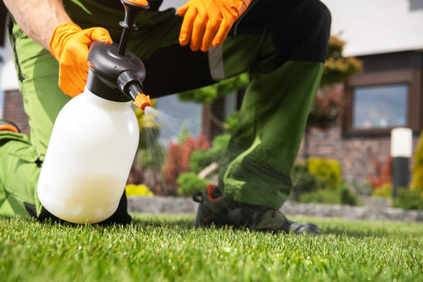 Best Pest Control Near Me in Tryon, NC