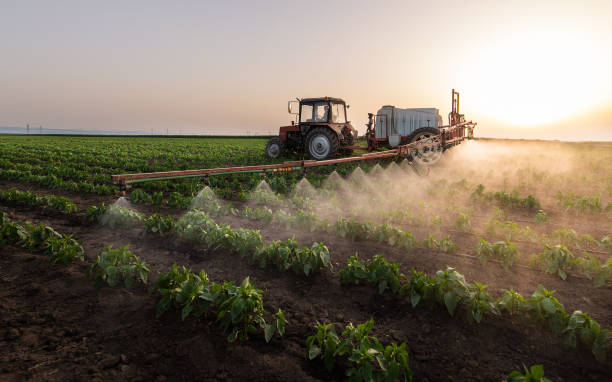 Best Mosquito Control Services  in Tryon, NC