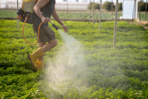 Best Pest Control for Businesses  in Tryon, NC
