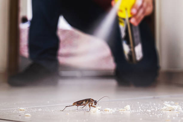 Best Affordable Pest Control Services  in Tryon, NC
