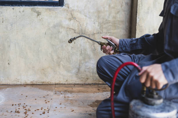 Professional Pest Control in Tryon, NC